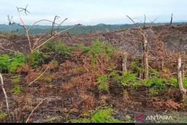 KPH Mukomuko minta masyarakat bersabar tunggu izin manfaatkan hutan