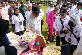 Wagub DIY: Jambore Sosial PSKS memperkuat kemandirian masyarakat