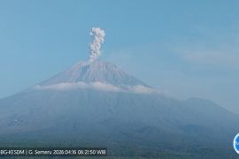 Mount Semeru erupts five times, ash reaches 1.2 km