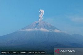 Semeru erupsi lima kali dengan tinggi letusan hingga 1.200 meter