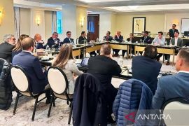 Ekonom: Pendekatan proaktif RI dorong perbaikan persepsi pasar