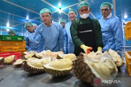 Indonesia dispatches 459 tons of frozen durian to China