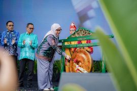 Banjarbaru gelar Expo dan Job Fair, sediakan 1.553 lowongan kerja