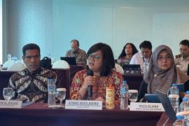 Koordinasi lintas sektor didorong untuk tangani HAM Papua
