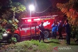 Damkar Palembang siagakan 61 personel rescue khusus evakuasi hewan buas