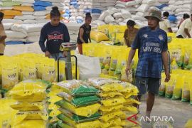 Bulog siapkan 4.100 ton beras bantuan pangan bagi Papua