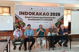 PSLB Instiper-CIRAD perkuat transformasi kakao nasional