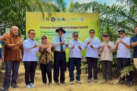 PalmCo uji serangga penyerbuk Afrika tingkatkan produktivitas sawit
