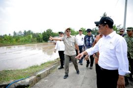 Mentan perkuat irigasi perpompaan tingkatkan produktivitas pertanian
