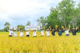 Ponpes Miftahul Ulum Tabalong perkuat kemandirian pangan