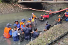 Pemkot Jakbar beri hadiah bagi petugas yang tangkap ikan sapu-sapu