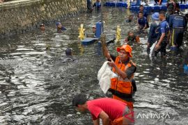 Pemprov DKI targetkan 200 kg ikan sapu-sapu ditangkap di Jakarta Utara