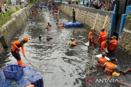 Gubernur DKI berencana bentuk PJLP khusus tangani ikan sapu-sapu