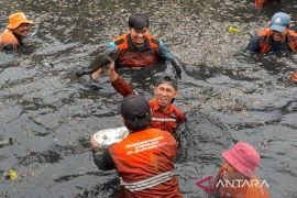 Wow, 6,98 ton ikan sapu-sapu di DKI ditangkap