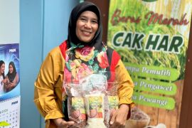 Temukan peluang kembangkan usaha, Mardiana pilih tumbuh bersama PNM Mekaar