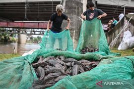 DKI kemarin, sekolah swasta gratis hingga penangkapan ikan sapu-sapu