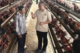 Legislator: Antisipasi lonjakan harga pangandan dampak kekeringan