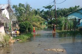 Pusdalops Sumut catat 35 jiwa mengungsi akibat banjir di Deliserdang
