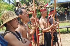 Festival Daren Kanderang Tingang sarana pelestarian budaya dan penguatan UMKM