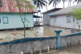 BPBD Sulteng lakukan pendataan dampak banjir rob di Buol dan Banggai Laut
