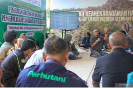 POMI tingkatkan kompetensi masyarakat kelola hutan rakyat di Situbondo