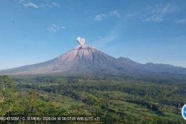 Semeru alami erupsi dengan abu vulkanik ke arah barat daya