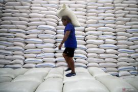 Menguji efektivitas cadangan beras pemerintah