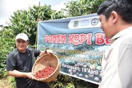 Bupati: Kopi dari Kuningan berpeluang menembus pasar global
