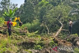 Kepolisian dan Desa Sukomulyo alokasikan 10 hektare lahan untuk jagung