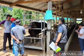 Pemkab Solok Selatan imbau panitia kurban tidak potong hewan produktif