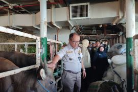 Badan Karantina kawal distribusi hewan kurban lmelalui tol laut