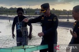 BKHIT Maluku pastikan standar ekspor udang vaname ke Tiongkok