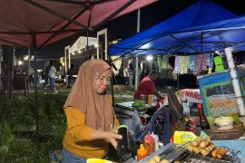 Ratusan UMKM lokal raup omzet jutaan rupiah di Gebyar HUT ke-66 Konawe