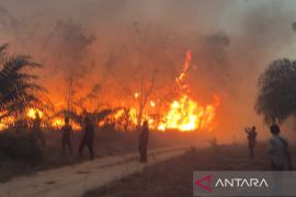 BPBD Bangka Barat larang warga buka lahan dengan cara dibakar