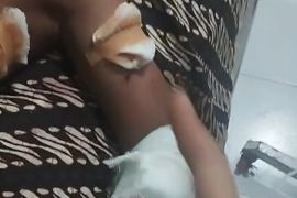 Kawanan anjing liar kembali menyerang pelajar di Lombok Timur