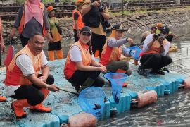 Warga Jakbar bisa ajukan permintaan benih ikan bubidaya ke Sudin KPKP