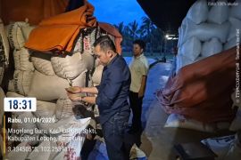 Bulog Cabang Rejang Lebong serap 1.851,5 ton gabah petani