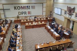 Peradi SAI usul pembentukan Dewan Pengawas Advokat lewat RUU Advokat