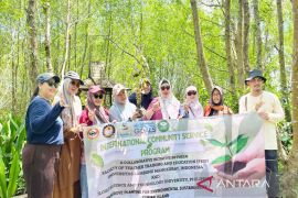 ULM-ISAT University Filipina kolaborasi lestarikan ekosistem mangrove