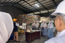 Bulog Maluku edukasi siswa SMA terkait swasembada pangan