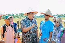 Pariaman dorong BUMDes perkuat produksi padi wujudkan kemandirian pangan