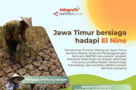 Jawa Timur bersiaga hadapi El Nino