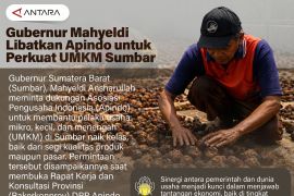 Gubernur Mahyeldi Libatkan Apindo untuk Perkuat UMKM Sumbar