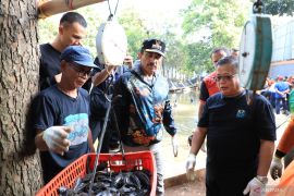 Pemerintah sebut penanganan ikan sapu-sapu sesuai rekomendasi MUI