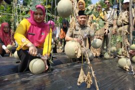 Bupati dorong kemandirian pangan di Kepulauan Seribu