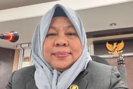 DPRD: Hari Kartini momentum perangi kekerasan seksual pada perempuan