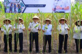 Willy Aditya dukung program ketahanan pangan di Lapas Porong