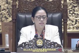 Rapat paripurna DPR setujui RUU PSDK disahkan menjadi undang-undang