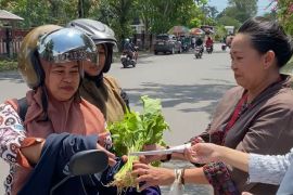 Hari Kartini, BPBD Kotim bagikan sayuran dan imbau waspada bencana