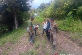 BKSDA Sumbar: Jejak satwa liar di Koto Sani milik harimau sumatra